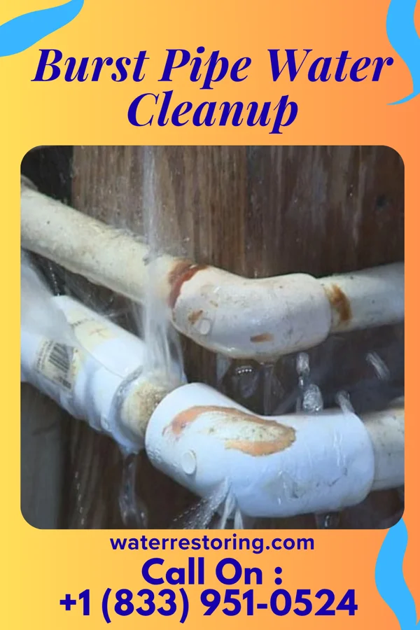 Burst Pipe Water Cleanup in Colfax, WI