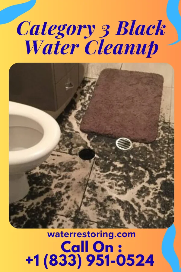Category 3 Black Water Cleanup in Colfax, WI