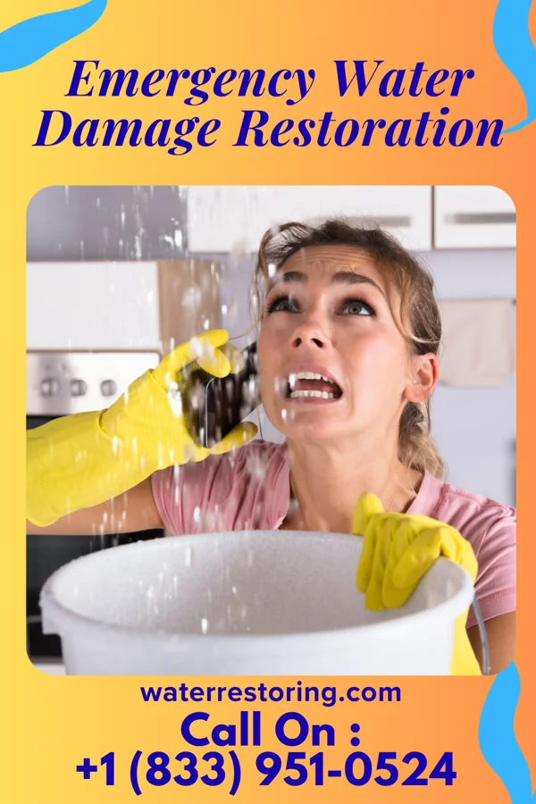 Emergency Water Damage Restoration in Colfax, WI