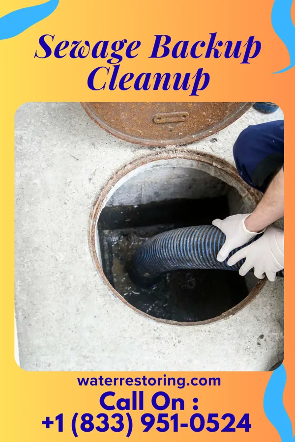 Sewage Backup Cleanup in Colfax, WI