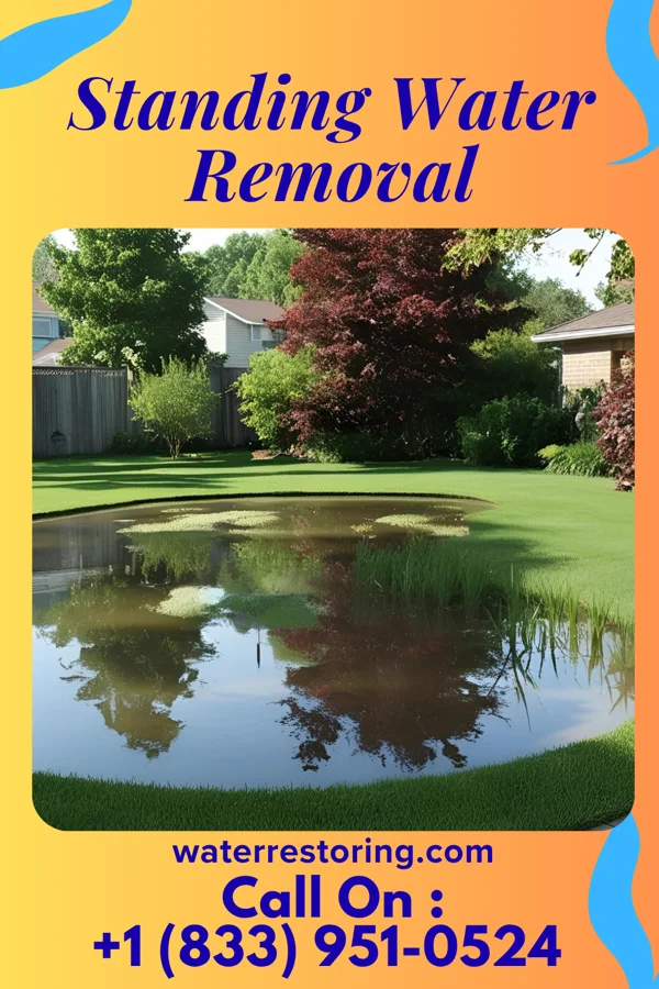 Standing Water Removal in Colfax, WI